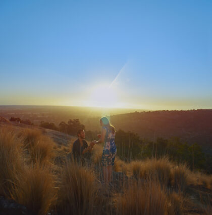 Swan Valley – Proposal TVC