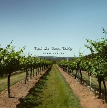 Swan Valley – Surprise Visit TVC